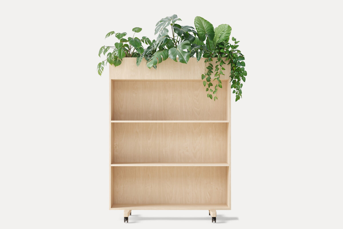 Zorla Shelf