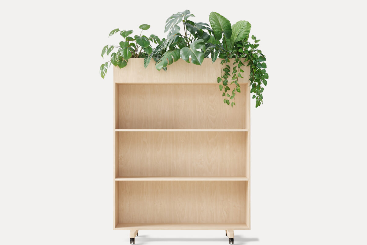 Zorla Shelf